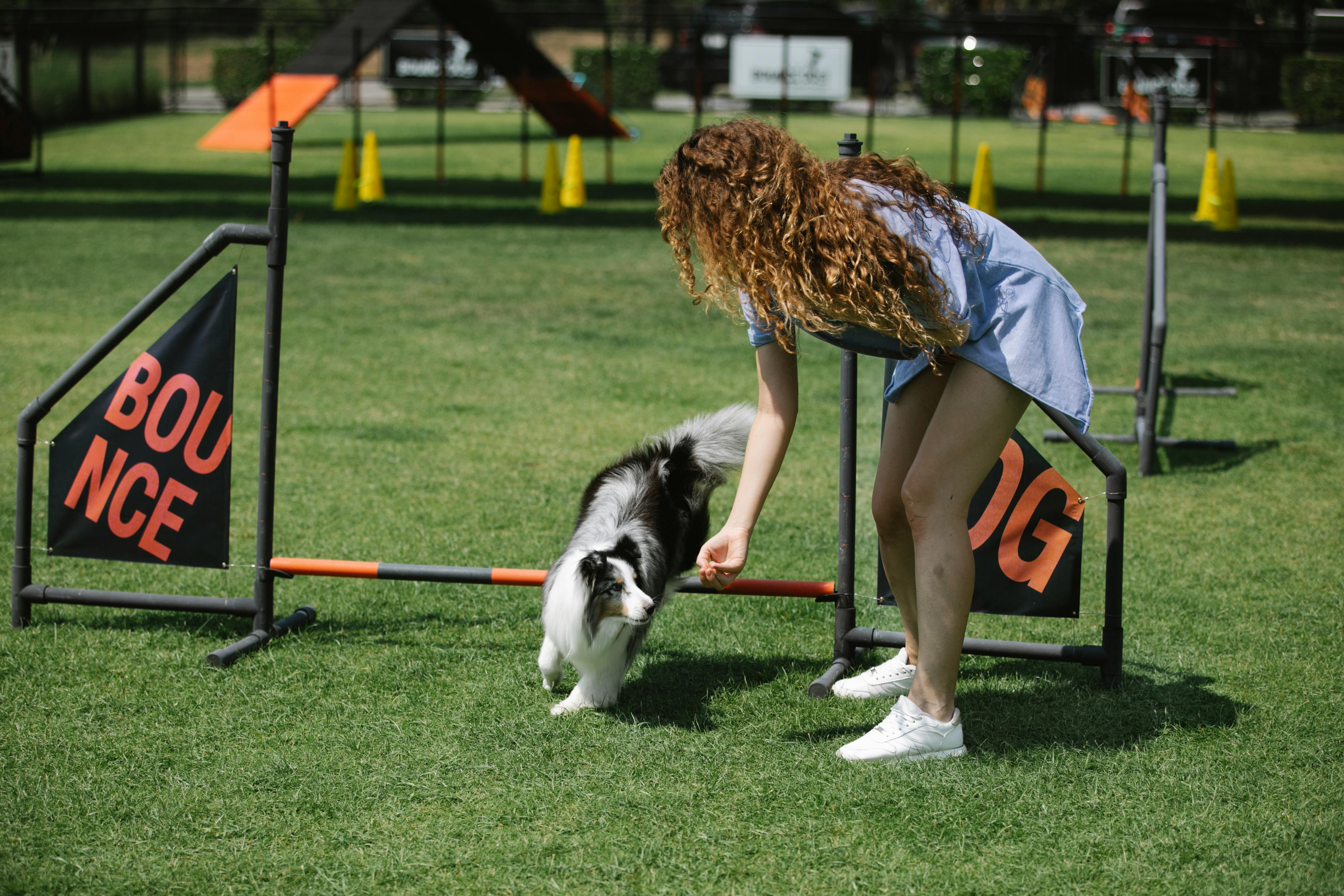 KÖPEĞİNİZE UYGUN </span><br/> EĞİTİMİ BERABER SEÇELİM
